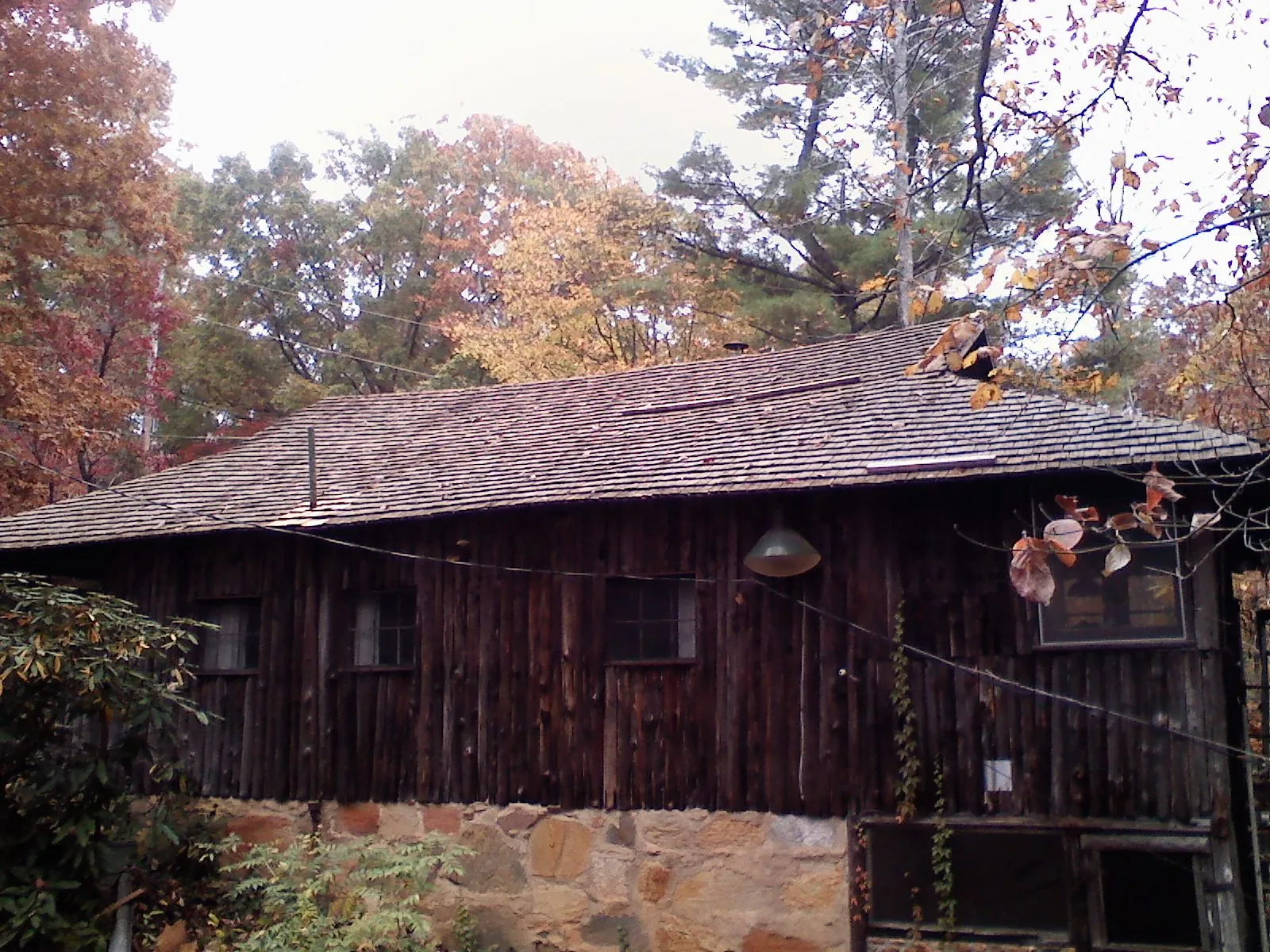Weathered wood shake roof on a rustic board sided cabin in Oak Grove